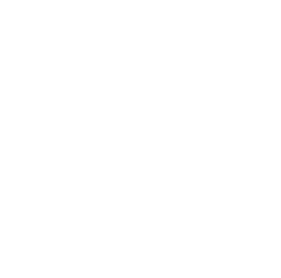 Elevate Custom Home